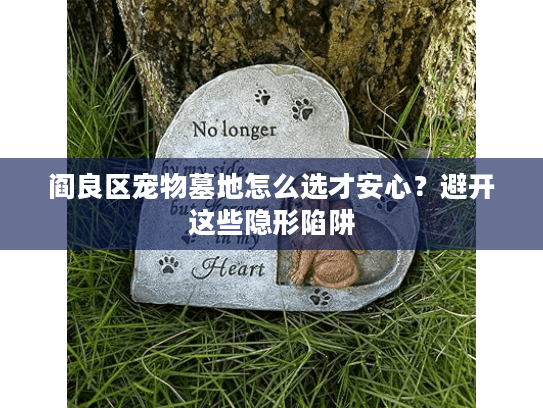 阎良区宠物墓地怎么选才安心？避开这些隐形陷阱