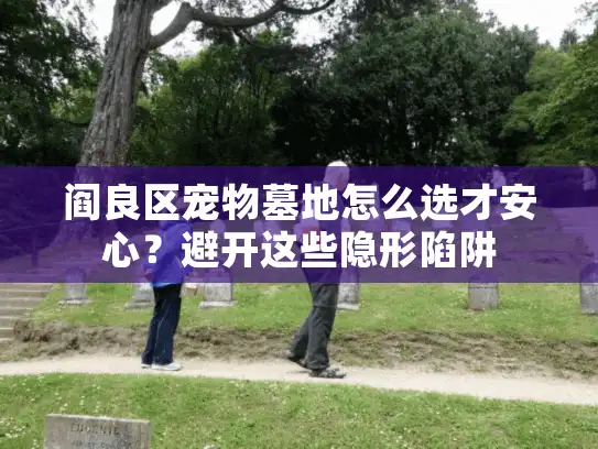 阎良区宠物墓地怎么选才安心？避开这些隐形陷阱