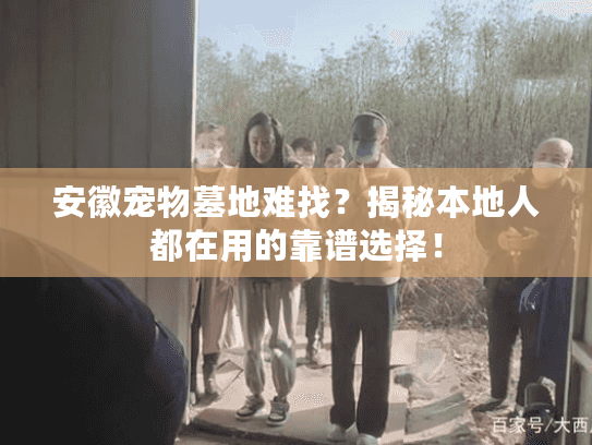 安徽宠物墓地难找？揭秘本地人都在用的靠谱选择！