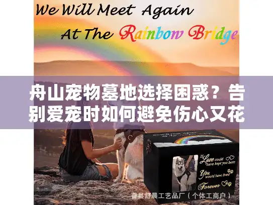 舟山宠物墓地选择困惑？告别爱宠时如何避免伤心又花冤枉钱