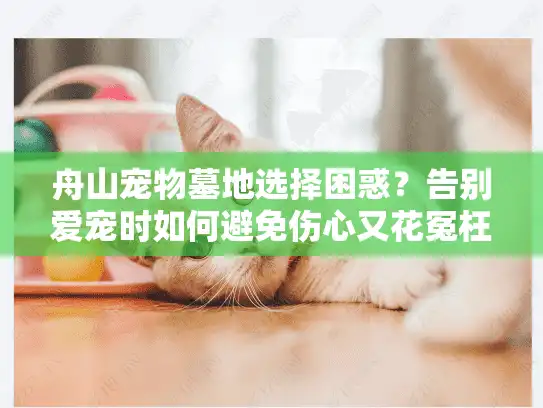 舟山宠物墓地选择困惑？告别爱宠时如何避免伤心又花冤枉钱