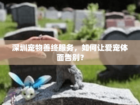 深圳宠物善终服务，如何让爱宠体面告别？