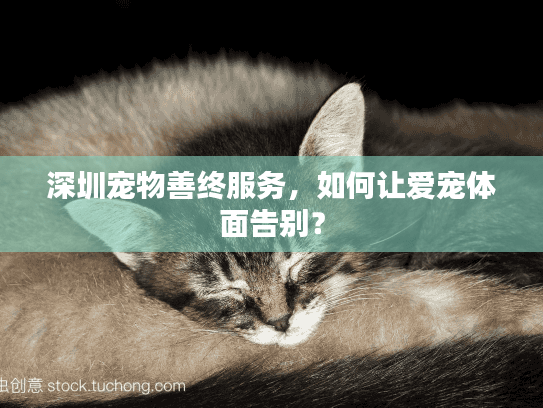 深圳宠物善终服务，如何让爱宠体面告别？