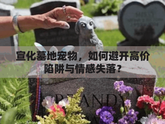 宣化墓地宠物,如何避开高价陷阱与情感失落? 宣化墓地宠物,如何避开高价陷阱与情感失落?