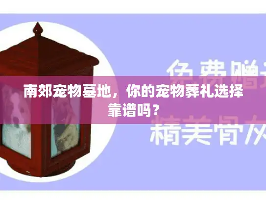 南郊宠物墓地，你的宠物葬礼选择靠谱吗？