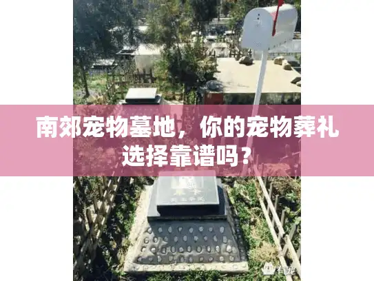 南郊宠物墓地，你的宠物葬礼选择靠谱吗？