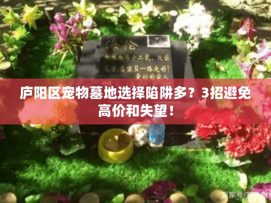 庐阳区宠物墓地选择陷阱多?3招避免高价和失望! 庐阳区宠物墓地选择陷阱多?3招避免高价和失望!