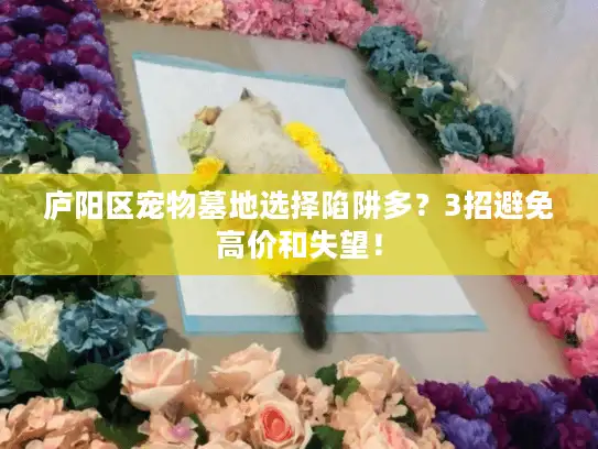 庐阳区宠物墓地选择陷阱多?3招避免高价和失望! 庐阳区宠物墓地选择陷阱多?3招避免高价和失望!