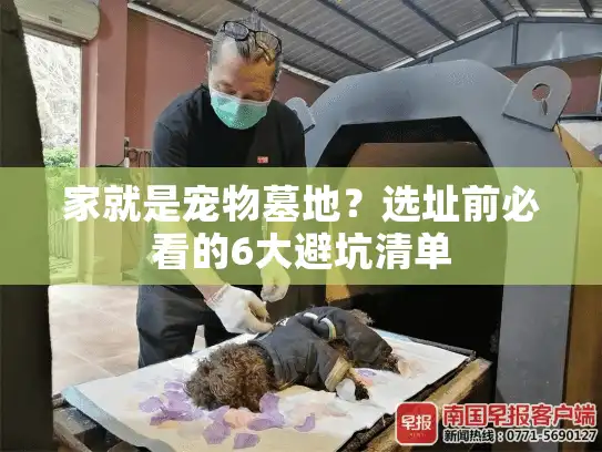 家就是宠物墓地？选址前必看的6大避坑清单