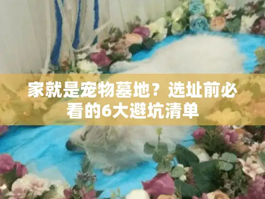 家就是宠物墓地？选址前必看的6大避坑清单