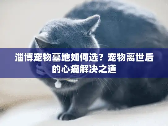 淄博宠物墓地如何选？宠物离世后的心痛解决之道