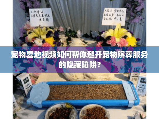 宠物墓地视频如何帮你避开宠物殡葬服务的隐藏陷阱？