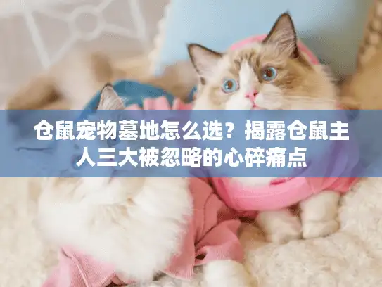 仓鼠宠物墓地怎么选？揭露仓鼠主人三大被忽略的心碎痛点