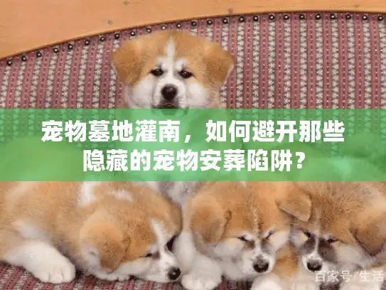 宠物墓地灌南，如何避开那些隐藏的宠物安葬陷阱？