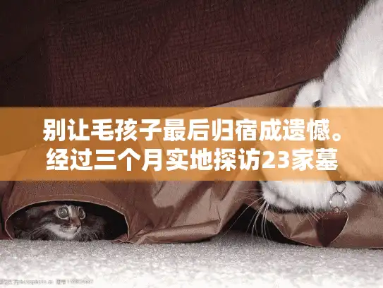 别让毛孩子最后归宿成遗憾。经过三个月实地探访23家墓园，结合宠物殡葬师建议，我总结出这套实操方案