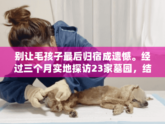 别让毛孩子最后归宿成遗憾。经过三个月实地探访23家墓园，结合宠物殡葬师建议，我总结出这套实操方案