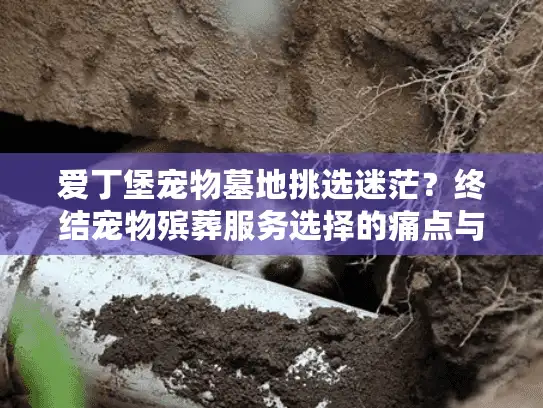 爱丁堡宠物墓地挑选迷茫？终结宠物殡葬服务选择的痛点与困惑