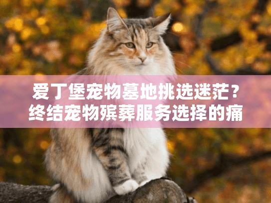 爱丁堡宠物墓地挑选迷茫？终结宠物殡葬服务选择的痛点与困惑