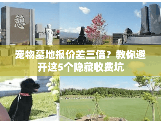 宠物墓地报价差三倍？教你避开这5个隐藏收费坑