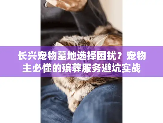 长兴宠物墓地选择困扰？宠物主必懂的殡葬服务避坑实战