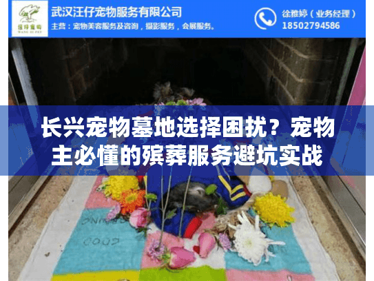 长兴宠物墓地选择困扰？宠物主必懂的殡葬服务避坑实战