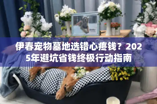 伊春宠物墓地选错心疼钱？2025年避坑省钱终极行动指南