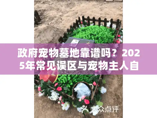 政府宠物墓地靠谱吗?2025年常见误区与宠物主人自救指南 政府宠物墓地靠谱吗?2025年常见误区与宠物主人自救指南