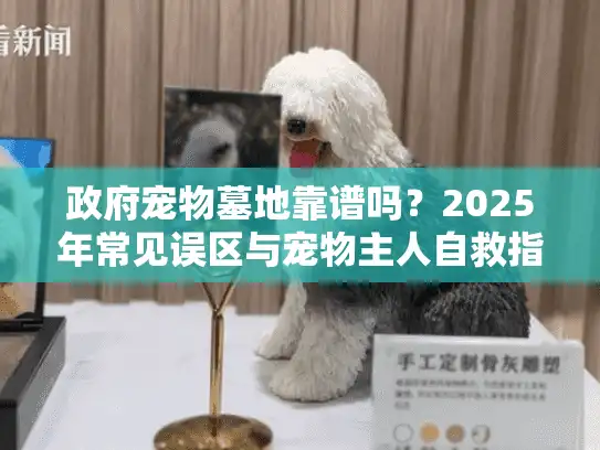 政府宠物墓地靠谱吗?2025年常见误区与宠物主人自救指南 政府宠物墓地靠谱吗?2025年常见误区与宠物主人自救指南