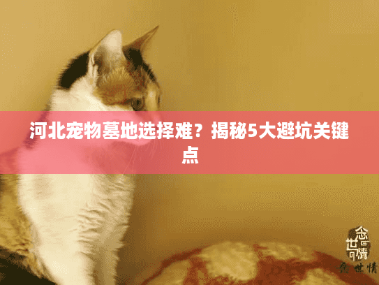 河北宠物墓地选择难？揭秘5大避坑关键点