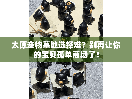 太原宠物墓地选择难？别再让你的宝贝孤单离场了！