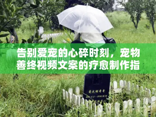 告别爱宠的心碎时刻，宠物善终视频文案的疗愈制作指南