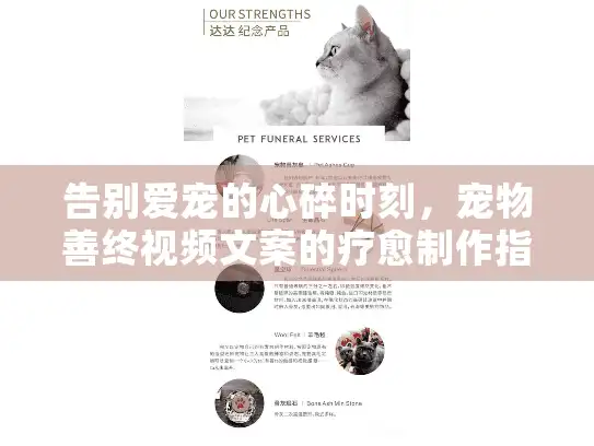 告别爱宠的心碎时刻，宠物善终视频文案的疗愈制作指南