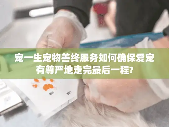 宠一生宠物善终服务如何确保爱宠有尊严地走完最后一程?
