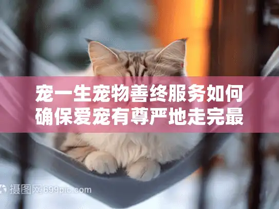 宠一生宠物善终服务如何确保爱宠有尊严地走完最后一程?