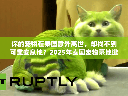 你的宠物在泰国意外离世，却找不到可靠安息地？2025年泰国宠物墓地避坑指南！