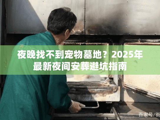 夜晚找不到宠物墓地？2025年最新夜间安葬避坑指南