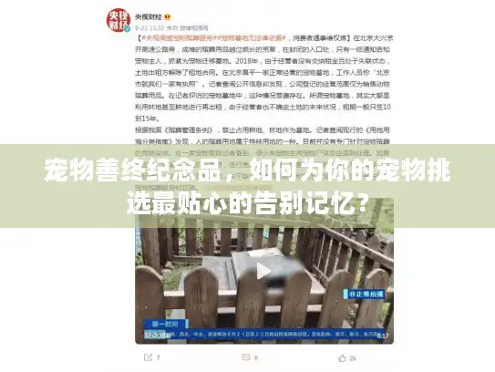 宠物善终纪念品，如何为你的宠物挑选最贴心的告别记忆？