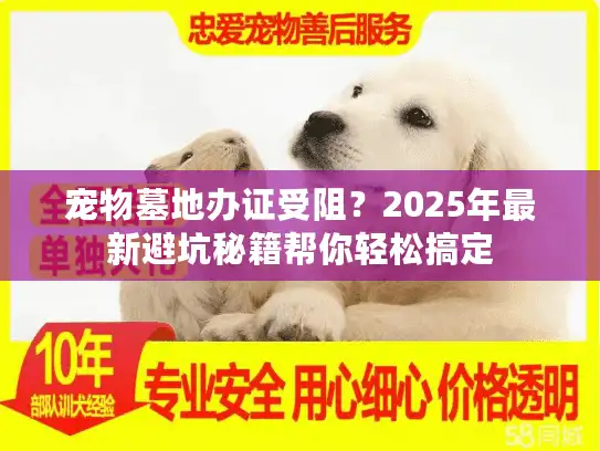 宠物墓地办证受阻？2025年最新避坑秘籍帮你轻松搞定