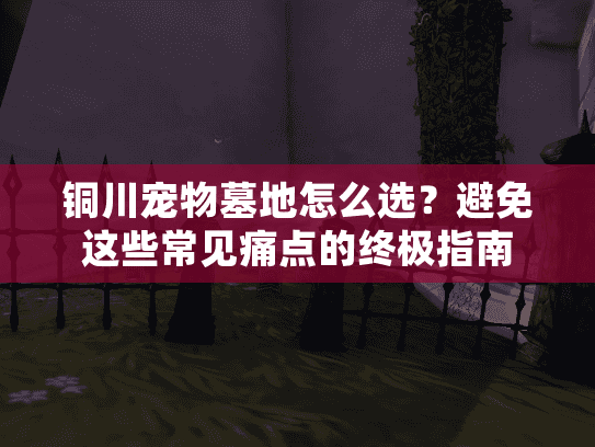 铜川宠物墓地怎么选？避免这些常见痛点的终极指南