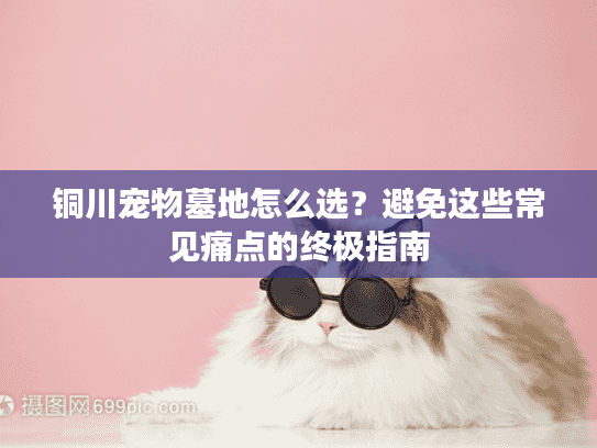 铜川宠物墓地怎么选？避免这些常见痛点的终极指南