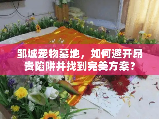 邹城宠物墓地,如何避开昂贵陷阱并找到完美方案? 邹城宠物墓地,如何避开昂贵陷阱并找到完美方案?