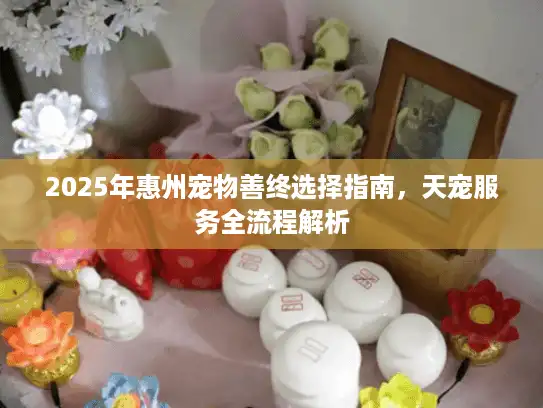 2025年惠州宠物善终选择指南,天宠服务全流程解析 2025年惠州宠物善终选择指南,天宠服务全流程解析