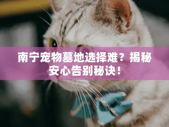 南宁宠物墓地选择难？揭秘安心告别秘诀！
