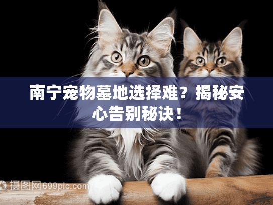 南宁宠物墓地选择难？揭秘安心告别秘诀！