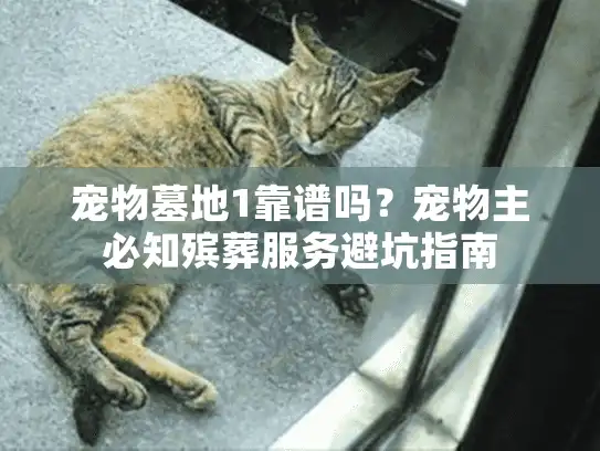 宠物墓地1靠谱吗？宠物主必知殡葬服务避坑指南