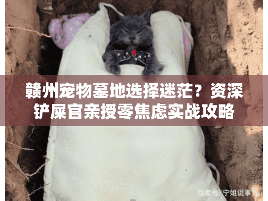 赣州宠物墓地选择迷茫?资深铲屎官亲授零焦虑实战攻略 赣州宠物墓地选择迷茫?资深铲屎官亲授零焦虑实战攻略