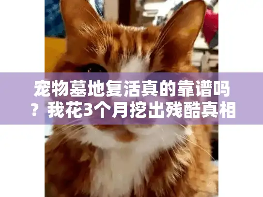 宠物墓地复活真的靠谱吗?我花3个月挖出残酷真相 宠物墓地复活真的靠谱吗?我花3个月挖出残酷真相