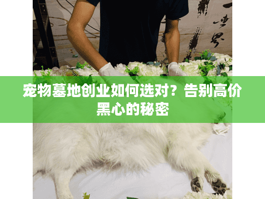 宠物墓地创业如何选对？告别高价黑心的秘密