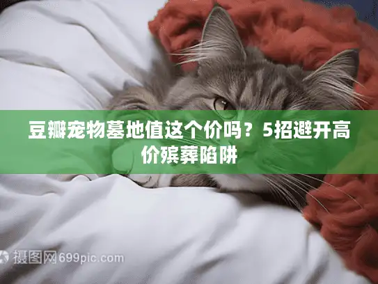 豆瓣宠物墓地值这个价吗？5招避开高价殡葬陷阱