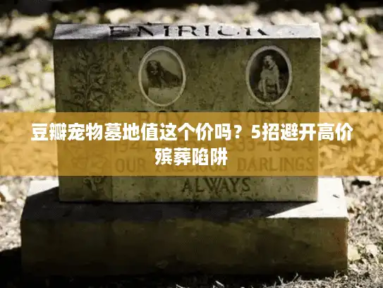 豆瓣宠物墓地值这个价吗？5招避开高价殡葬陷阱